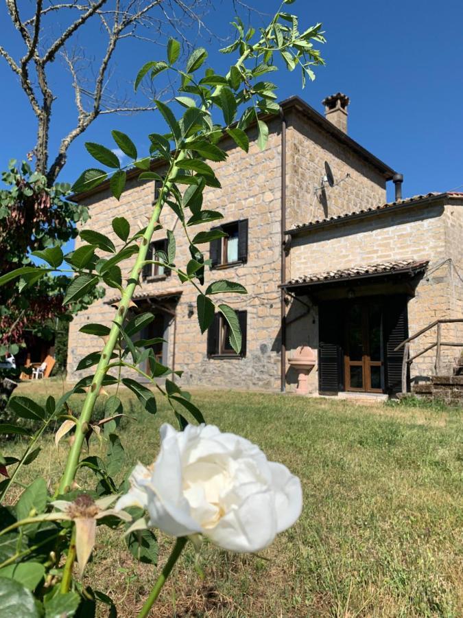 Вилла Casa Di Monica Torre San Severo Экстерьер фото
